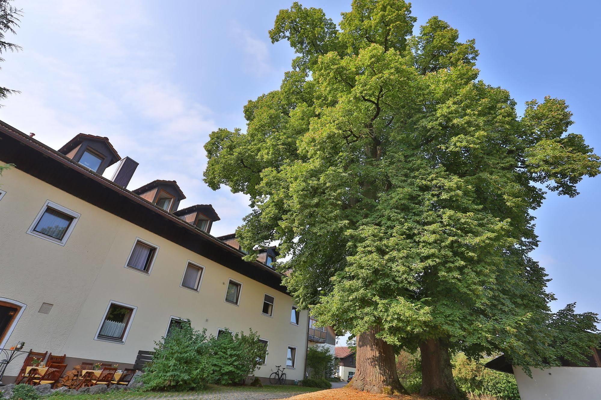 Hotel Bockmaier Oberpframmern Екстер'єр фото